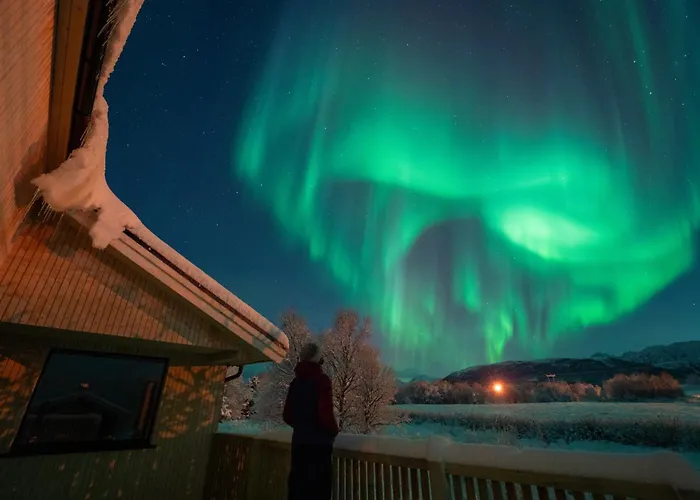 Casa Hikari - Lofoten